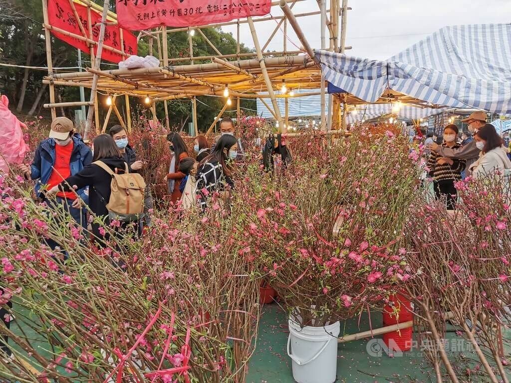 ▲首頁 / 兩岸港人過年習俗多 派紅包逛花市節氣濃厚2023/1/24 12:31（1/24 13:32 更新）春節臨近，香港社會已基本復常。港人過春節都會派紅包、逛花市，花市銷售的包括桃花（圖）、水仙和劍蘭等傳統應節花朵。（圖／中央社）
