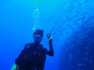 陳其邁潛水資歷30年　期待再度至帛琉潛水
