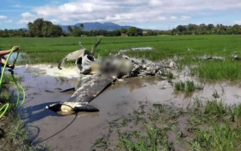 ▲一架菲律賓空軍訓練機25日上午在首都馬尼拉西方的巴丹省墜毀，2名飛行員身亡。（圖／翻攝自 Philippine News Agency）