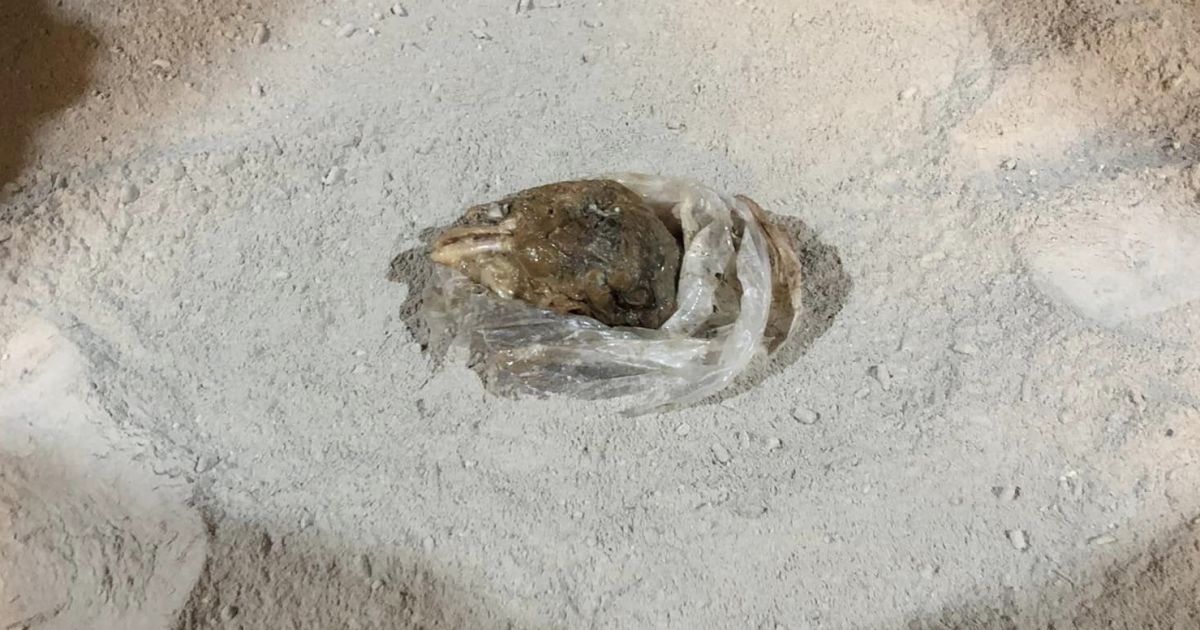 ▲北台中城隍廟的天公爐，竟遭人埋下生雞頭，廟方發現之後氣得報警並PO文怒斥「會有報應」。（圖／北台中城隍廟臉書）  