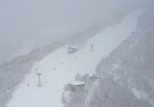 滑雪客注意！日頻傳雪場事故　群馬雪崩1人遭活埋送醫亡

