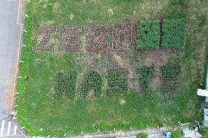 點石成金! 中市環保局打造「ZERO WASTE」環保農園見成效 ▲點石成金! 中市環保局利用閒置空地打造「ZERO WASTE」環保農園,既避免雜草叢生,孳生蚊蟲,又能實踐零廢棄的永續環境目標,一舉多得。(圖/環保局提供)