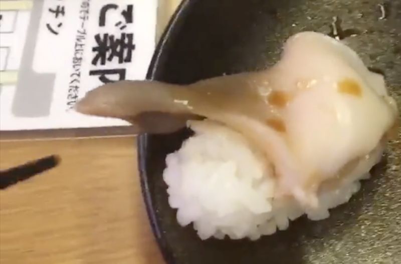 ▲日本一名網友在推特分享，他到迴轉壽司店用餐時，竟發現壽司上頭的貝類似乎新鮮過頭了，竟如同還活著一般正在蠕動。（圖／翻攝自推特@mg2b5）