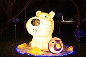 中台灣燈會冒粉紅泡泡!盧秀燕:求婚成功由我獻上祝福