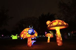 ▲「萌蟲蟲」燈區可愛的菇菇燈。（圖／台中市政府提供，2023.01.31）