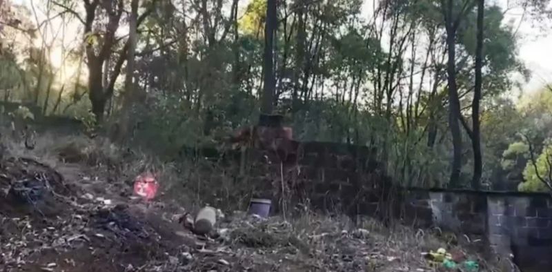 ▲胡鑫宇被發現的樹林位置。(圖/翻攝自微博)