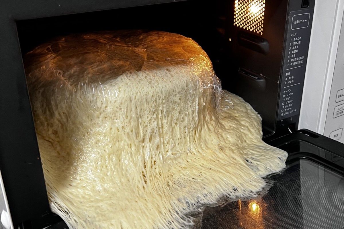 ▲該網友忘記自己正在發酵麵包，意外養出一隻獵奇生物，網友笑翻︰「真複雜」。（圖／Twitter：naaakooo000）