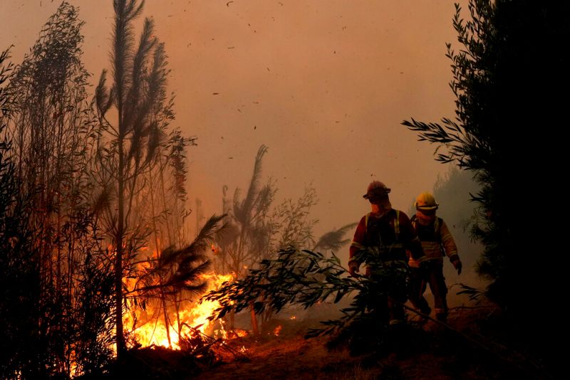 ▲智利高層官員今天表示，中南部熱浪酷暑下已發生數百起森林大火，造成至少22人喪生。（圖／美聯社／達志影像）