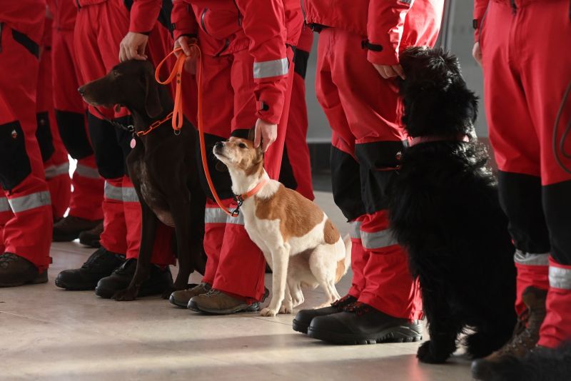 ▲土耳其強震，多國皆派出救援隊、搜救犬馳援。（圖／美聯社／達志影像）