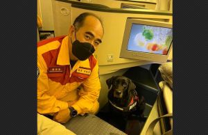 台灣搜救犬前進土耳其救災！一起坐商務艙　網友暖心打氣
