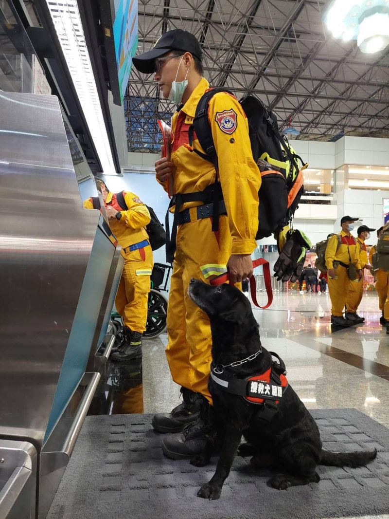 ▲土耳其強震，台灣已經派出130位搜救及醫護人前往支援，搜救犬也一起坐商務艙，養精蓄銳準備全力投入救援。（圖／翻攝自內政部臉書）