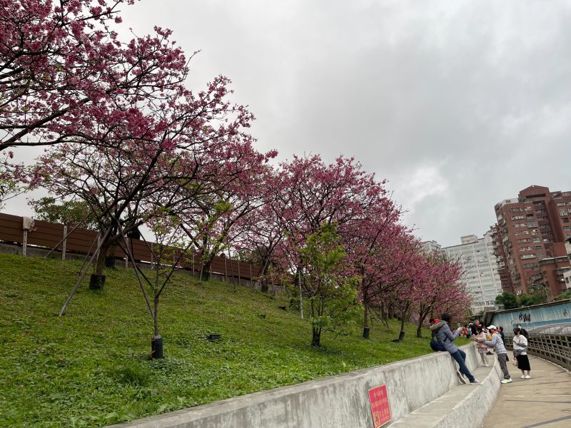 ▲內湖樂活公園就位於捷運東湖站步行10分鐘左右之處，想在情人節與另一半牽牽小手、感受涼涼微風，不妨坐捷運到東湖站在慢慢散步過去，也是一大享受。（圖／記者汪睿琦攝）