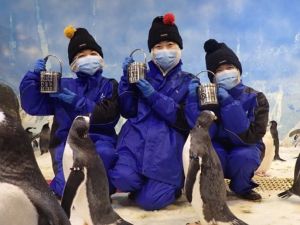 ▲屏東海生館推出「我與企鵝的0.1毫米」體驗活動。（圖／屏東海生館提供）
