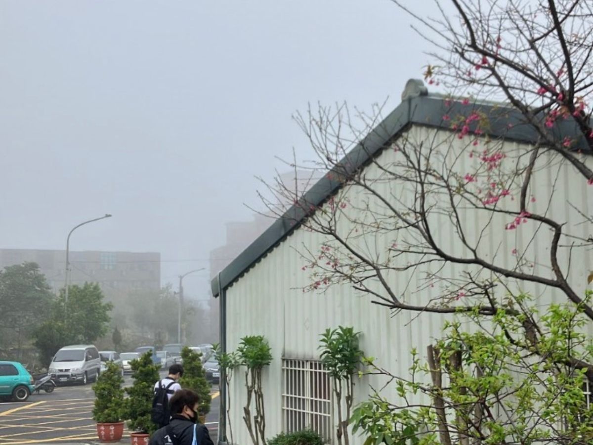 ▲西半部地區今天變成霧都，能見度極低讓不少民眾不方便。氣象局表示，濃霧的情況恐怕要持續到明天了。（圖／民眾提供）