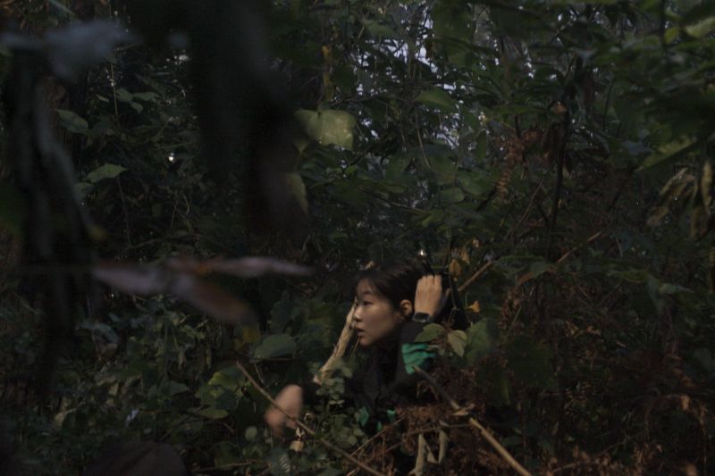 ▲《Siren: Survive the Island》第2季上線。(圖/Netflix)