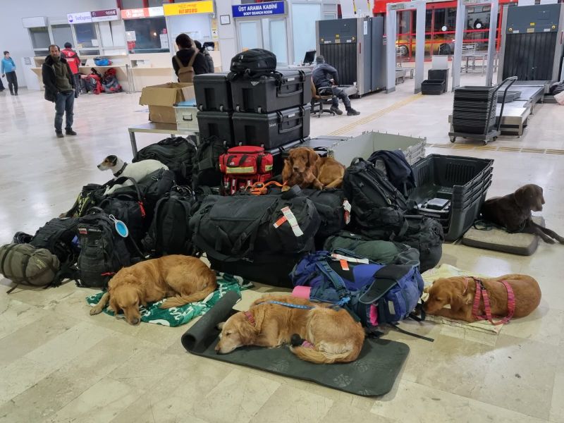 ▲斯洛維尼亞的救難人員發出該國7隻搜救犬完成任務後，在機場累到睡翻的照片，隨即在網路上引發熱議。（圖／Roman Starman臉書）