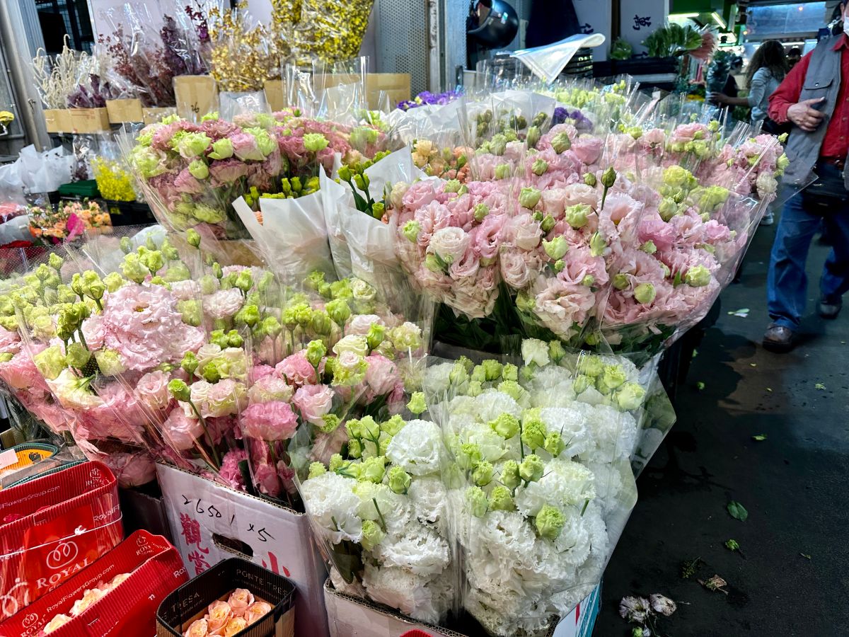 ▲情人節紅玫瑰大漲，想要省荷包又想有儀式感，清新感的桔梗正值盛產期，價格只需紅玫瑰的一半，會是情人節的好選擇。(圖／記者周淑萍攝)