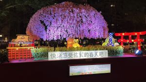 ▲日本佐賀縣以主題『佐賀縣的春天』在台灣燈會展出。（圖／交通部觀光局）