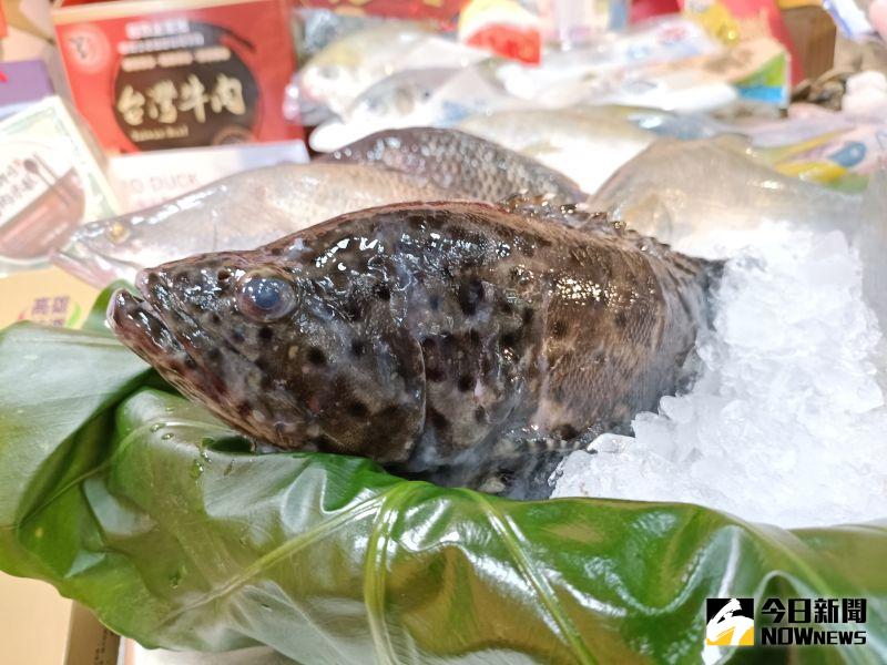 ▲2023東京國際食品展將開幕。農委會今天表示，鳳梨、石斑魚、鱸魚等產品列為重點行銷品項。（示意圖／記者許若茵攝，2023.02.14）