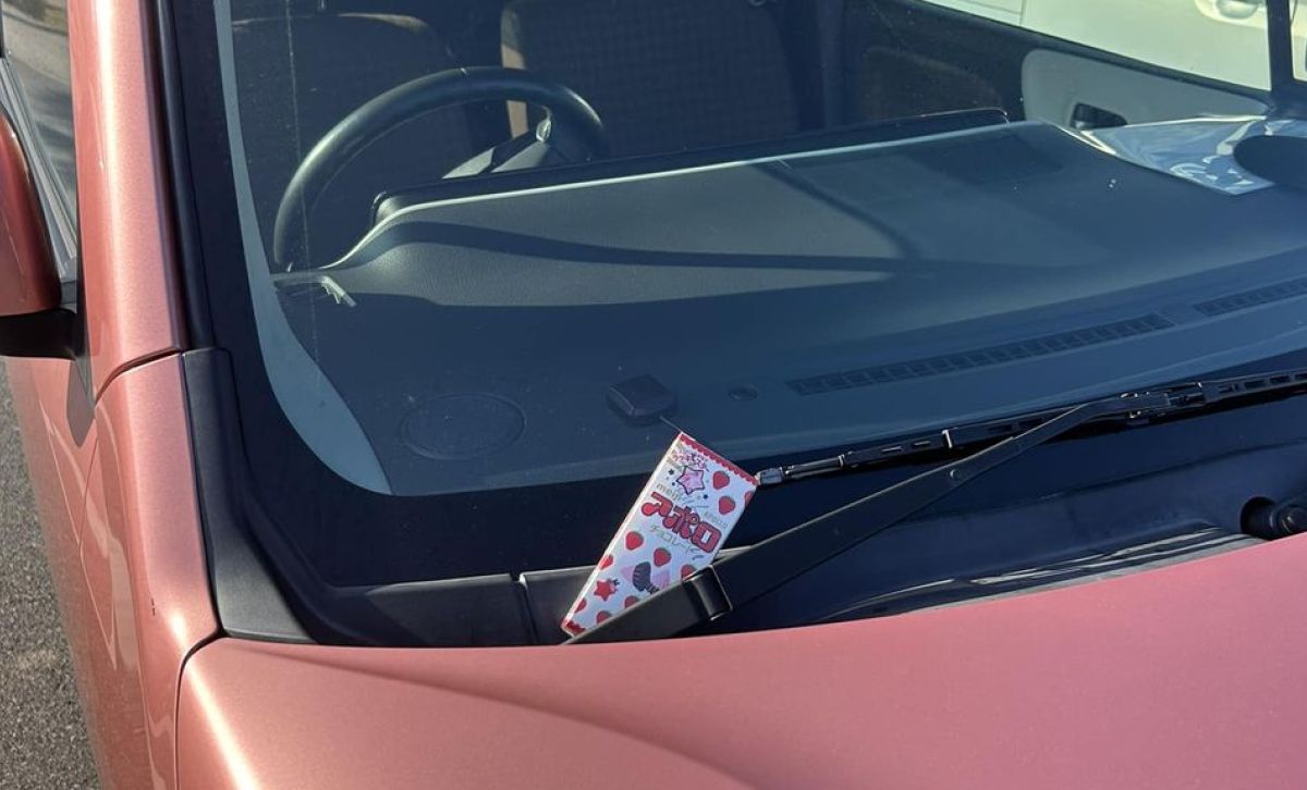 ▲台南Josh遇到一名日本妹子敲他的車窗，拜託他幫忙抓蟲，之後更為了感謝台南Josh，偷放了一盒巧克力在他車上。（圖／翻攝自「台南Josh」臉書）