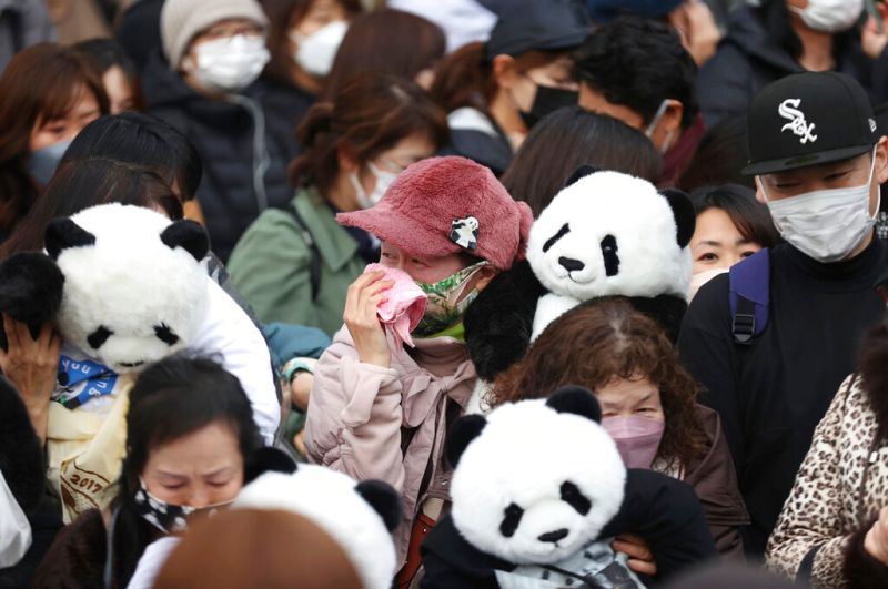 ▲飼養在日本東京上野動物園內的5歲大貓熊香香，2月21日將搭機返回中國，今天是最後一天公開亮相。在園方舉行的事先抽籤中籤民眾今天依序入園送別，有民眾不捨到流下眼淚。（圖／美聯社／達志影像）