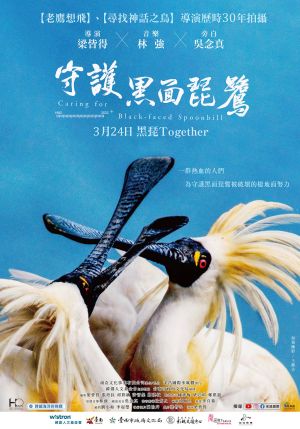 ▲《守護黑面琵鷺》台灣版正式海報。（圖／采昌提供）