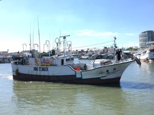 東港「昇豐128號」鮪釣漁船失聯已2日　6船員1為台籍
