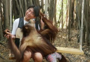 遊泰國被紅毛猩猩上下其手　梁赫群還原「偷摸過程」
