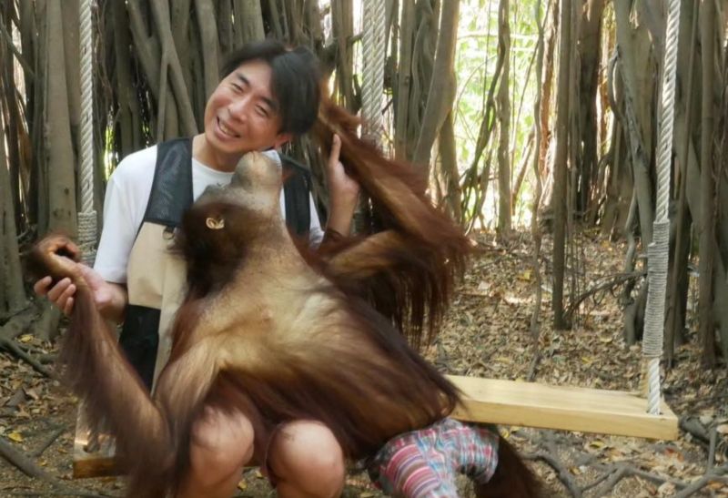 ▲梁赫群遊泰國被紅毛猩猩上下其手。（圖／梁赫群臉書）