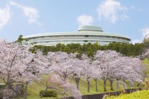 ▲飯店步程5分鐘可抵達寶池公園，公園內種植六百多棵櫻花樹。（圖）
