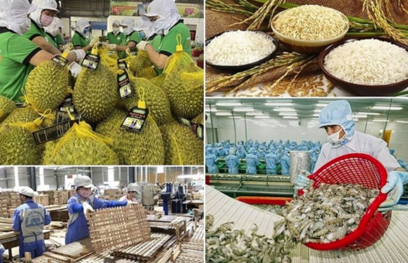 越南推動科技創新　實現永續農業發展
