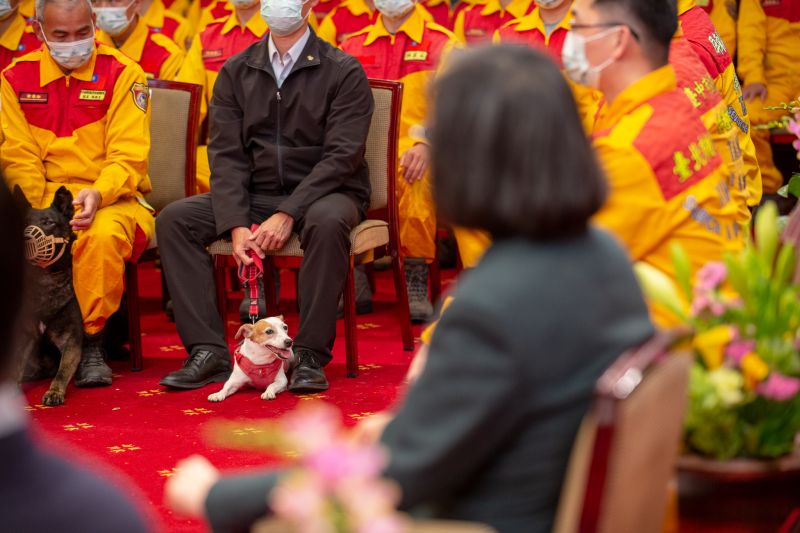 ▲蔡英文接見返國的土耳其震災臺灣國際搜救隊。（圖／總統府提供）