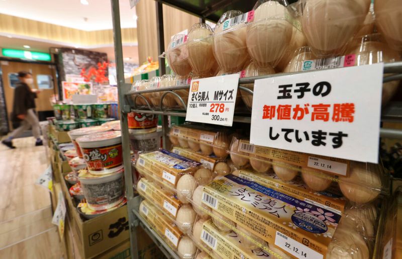 ▲日本爆發禽流感及飼料價格上漲導致雞蛋短缺，東京雞蛋批發價更是創下1986年以來最高。（圖／美聯社／達志影像）