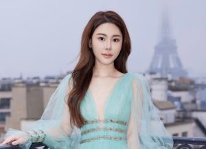 《寄生上流》翻版!蔡天鳳前夫一家被起底 犯罪背景驚悚