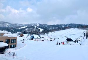北海道「春季滑雪」訂單狂飆兩倍　5天4夜全包每人免3萬
