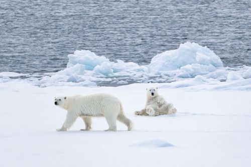 ▲疫後爆發出國潮！專營高端海外獨家行程的佳繽旅遊，一舉推出北極、巴基斯坦、印度、中亞與巴爾幹半島5大獨家旅遊行程，更祭出每人最高現省13,000元的早鳥優惠。每人要價128萬元的「北極21日頂級豪奢郵輪破冰之旅」，贈送巴黎兩日遊，已穩穩夯賣7成。（圖／佳繽旅遊提供）