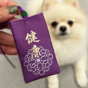 ▲女星Apple向醫院道歉,強調都是一場誤會,希望未來醫病關係更好。(圖/翻攝自Apple IG) ▲女星Apple向醫院道歉,強調都是一場誤會,希望未來醫病關係更好。(圖/翻攝自Apple IG)