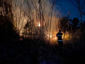 228連假掃墓　高市消防局提醒掃墓「人離火熄」
