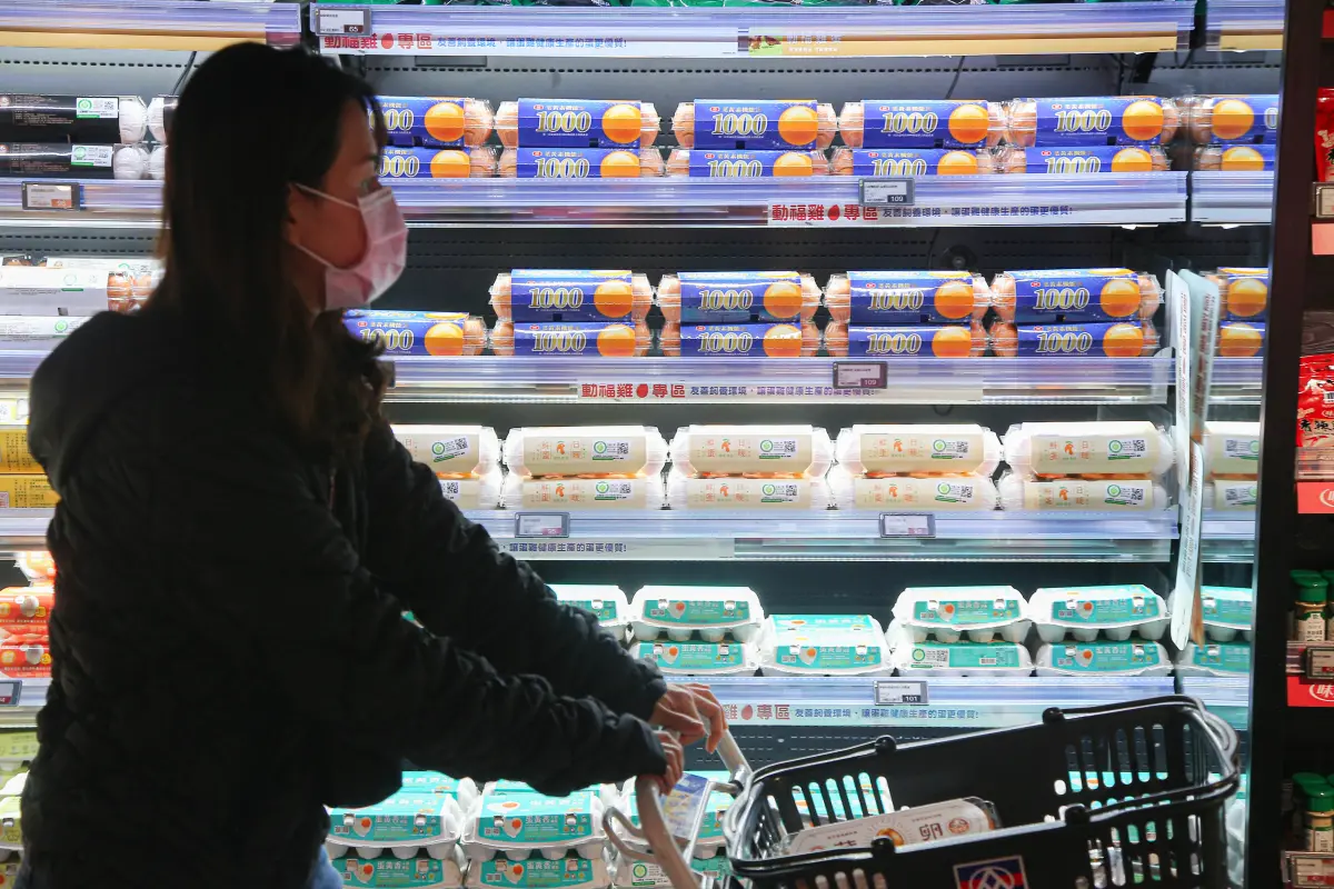 ▲對於進口蛋爭議，農業部今日在行政院會報告「專案進口雞蛋成效及精進措施」。（圖／NOWnews資料照片）