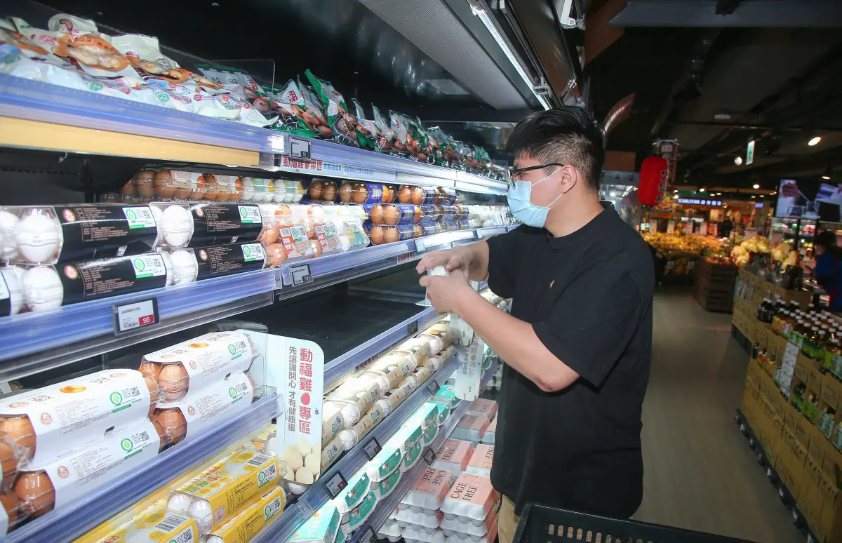 ▲進口雞蛋風波不斷，外界關切多達5400萬顆蛋保存屆期，農業部今（17）日表示，到期雞蛋會封存於畜產會、不會流入市場。（圖／NOWnews資料照）