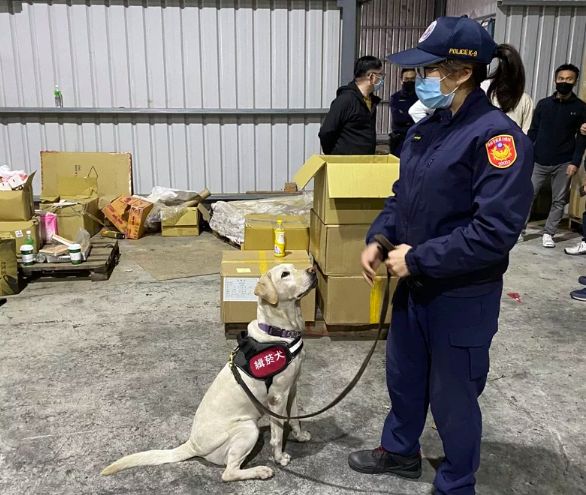 ▲警政署保三總隊今（2）日宣布，破獲桃園一大型地下私菸工廠，警方循線跟監多時，特別出動2隻緝菸犬鎖定工廠位置，一舉查扣私劣紙捲菸成品192萬支，以及10噸劣質菸草，共可製成76萬多包私菸，市值約新台幣6500萬元。（圖／翻攝畫面）