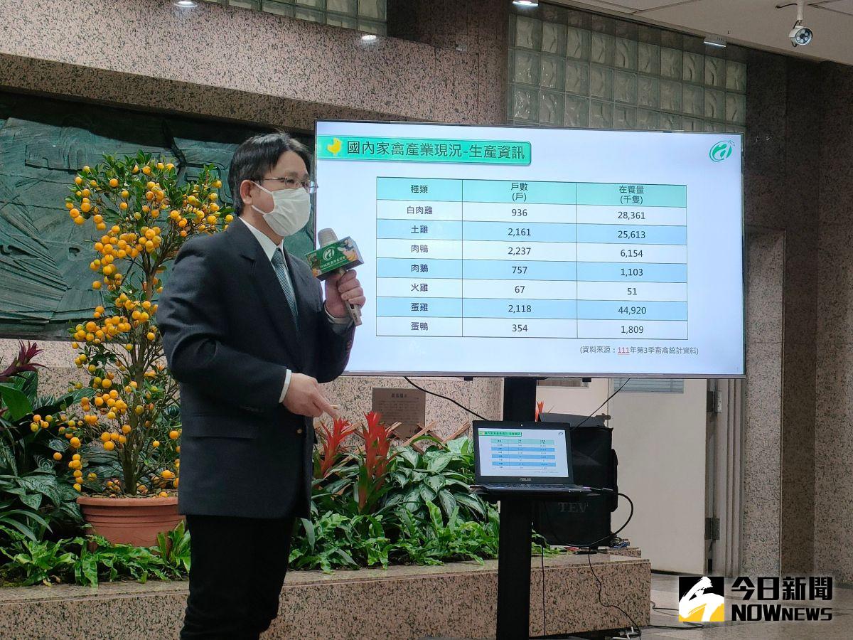 ▲農委會今（3）日公布養禽場設施改善計畫，特定規模的非開放式禽舍、水簾密閉負壓環控禽舍改建，每場補助2分之1，分別最高補助450萬元與1000萬元。（圖／記者許若茵攝，2023.03.03）