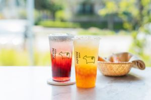 迷客夏蜂迷季2.0上市!藏雙重配料 買2杯送療癒語錄磁鐵 ▲左起:蜜啵雪寶(L)65元、 柚蜜白玉(L)65元。(圖/迷客夏提供)