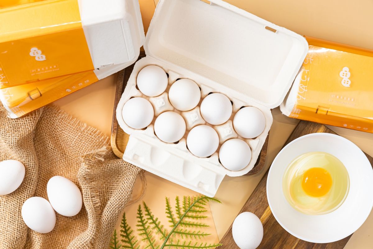 ▲「龜毛集品」是全台唯一使用SPF認證白羽雞，強調不打疫苗及抗生素，就連生產的雞蛋，都是可生食級別。（圖／品牌提供）