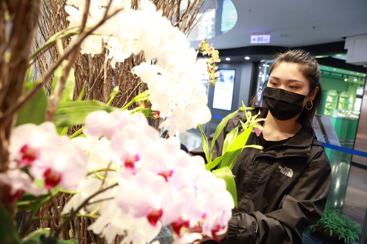 ▲不讓臺灣國際蘭展專美，中友邀名家宋家伶打造蘭花景觀，並快閃駐店開辦DIY課程。（圖／中友百貨提供）