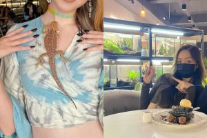 充滿蛇與蜥蜴！馬來西亞首間兩棲類咖啡廳
