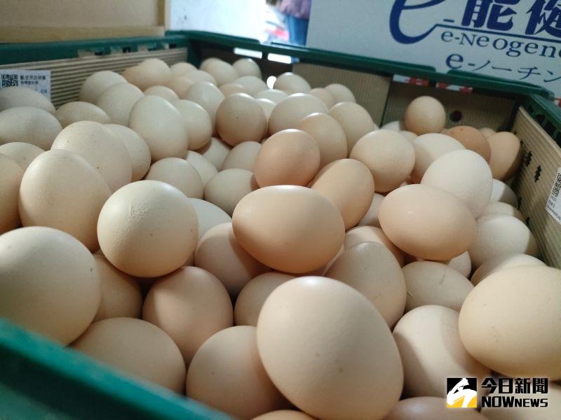 ▲雞蛋批發價近期上漲，台北市傳出多校向家長調查意願，準備調漲學校午餐價格。（圖／記者許若茵攝）