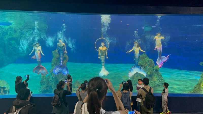 ▲人魚王子「Wei」表示,在水族箱內其實看不到遊客,僅能看到一些大動作地揮舞,另外也請民眾拍照時不要開啟閃光燈。(圖/人魚王子Wei授權提供)