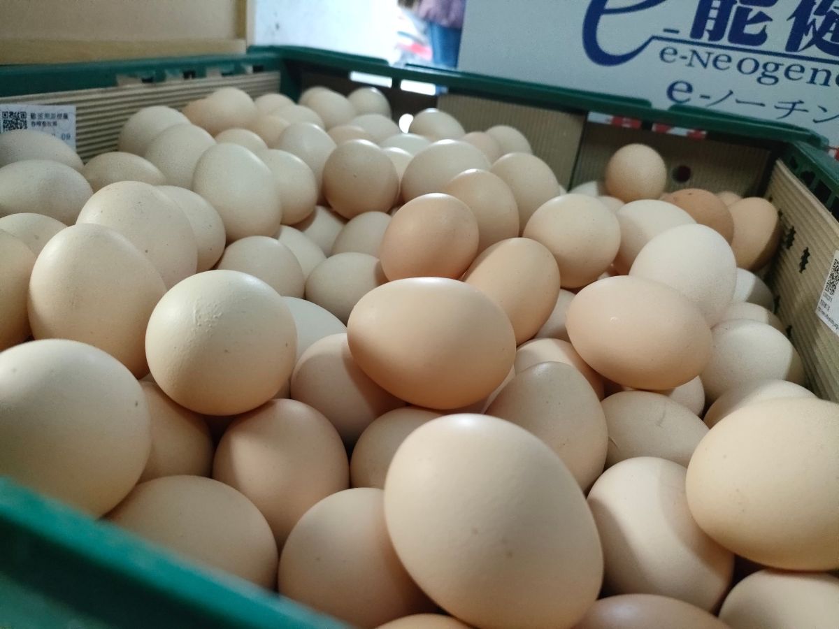 列管蛋流出！文雅畜牧場賣給台中蛋行 彰化動防處：移請檢調偵辦