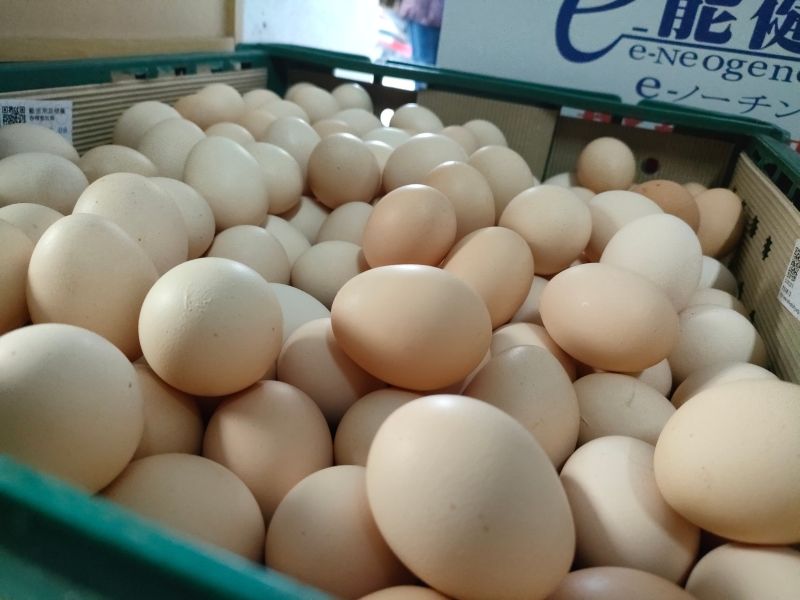 ▲中央畜產會公告徵求業者加工210萬顆進口蛋。（圖／記者許若茵攝）